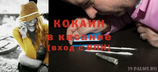 крисы Майский