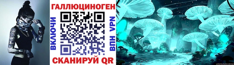 сколько стоит  Каргат  Галлюциногенные грибы GOLDEN TEACHER 